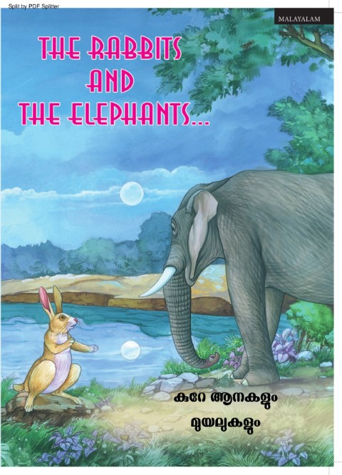 Elephants and the Rabbit